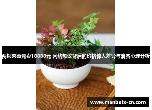 两根菜薹竟卖18888元 网络热议背后的价格惊人差异与消费心理分析